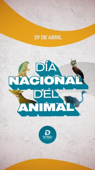 🦧🐶🐼🐷🐈 Hoy en Argentina se conmemora el Día del Animal, en honor a Ignacio Lucas Albarracín, un abogado que fue el gran pionero e…